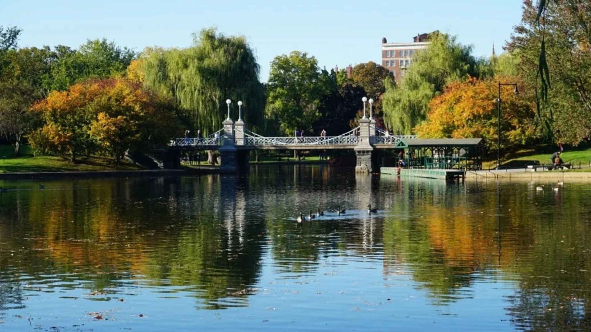 A scenic view of the Charles River separating Boston and Cambridge