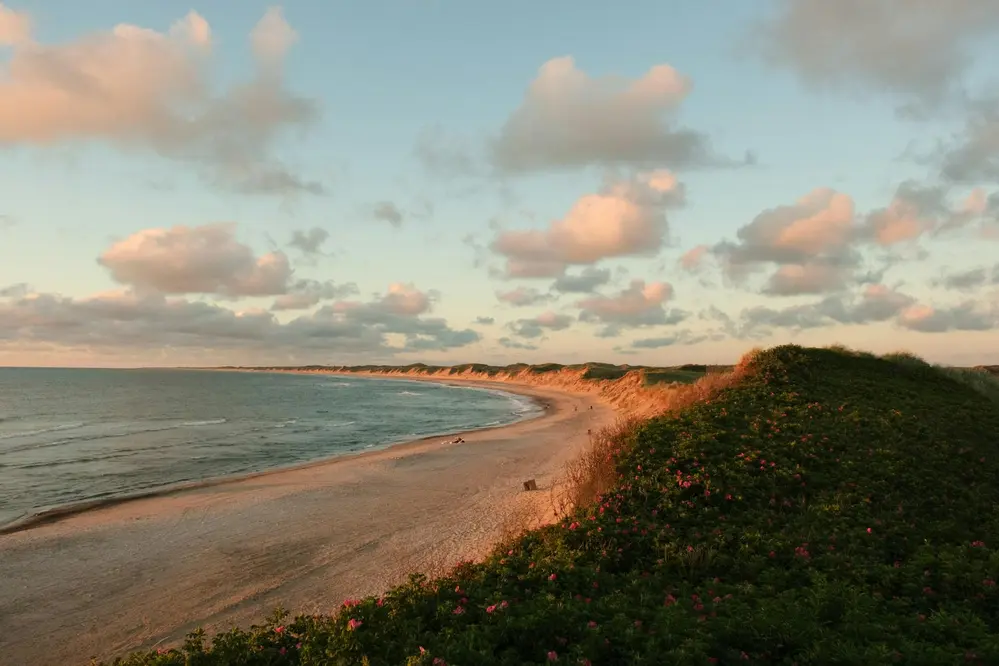 A beautiful golden beach during golden hour at Cape Cod